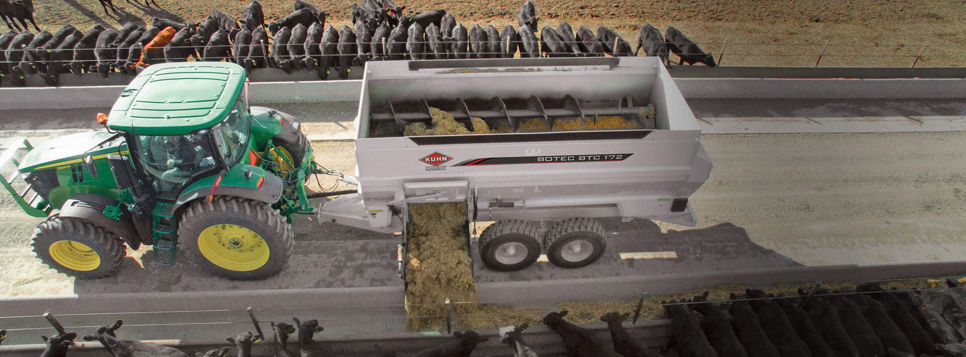 Truck Feeding Cows